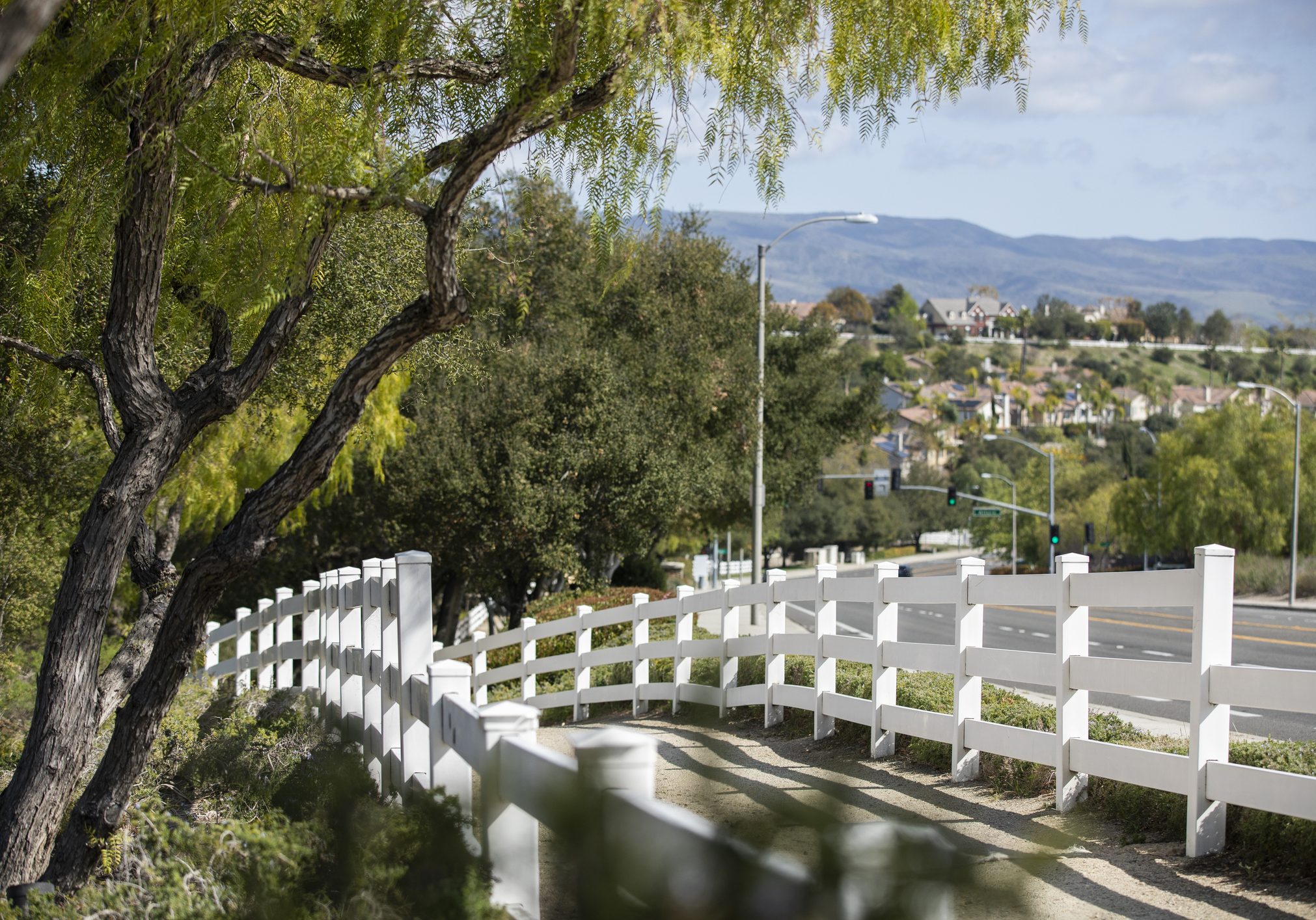 Pepper trees and a white fence frame a public sidewalk in Coto de Caza, California, USA.