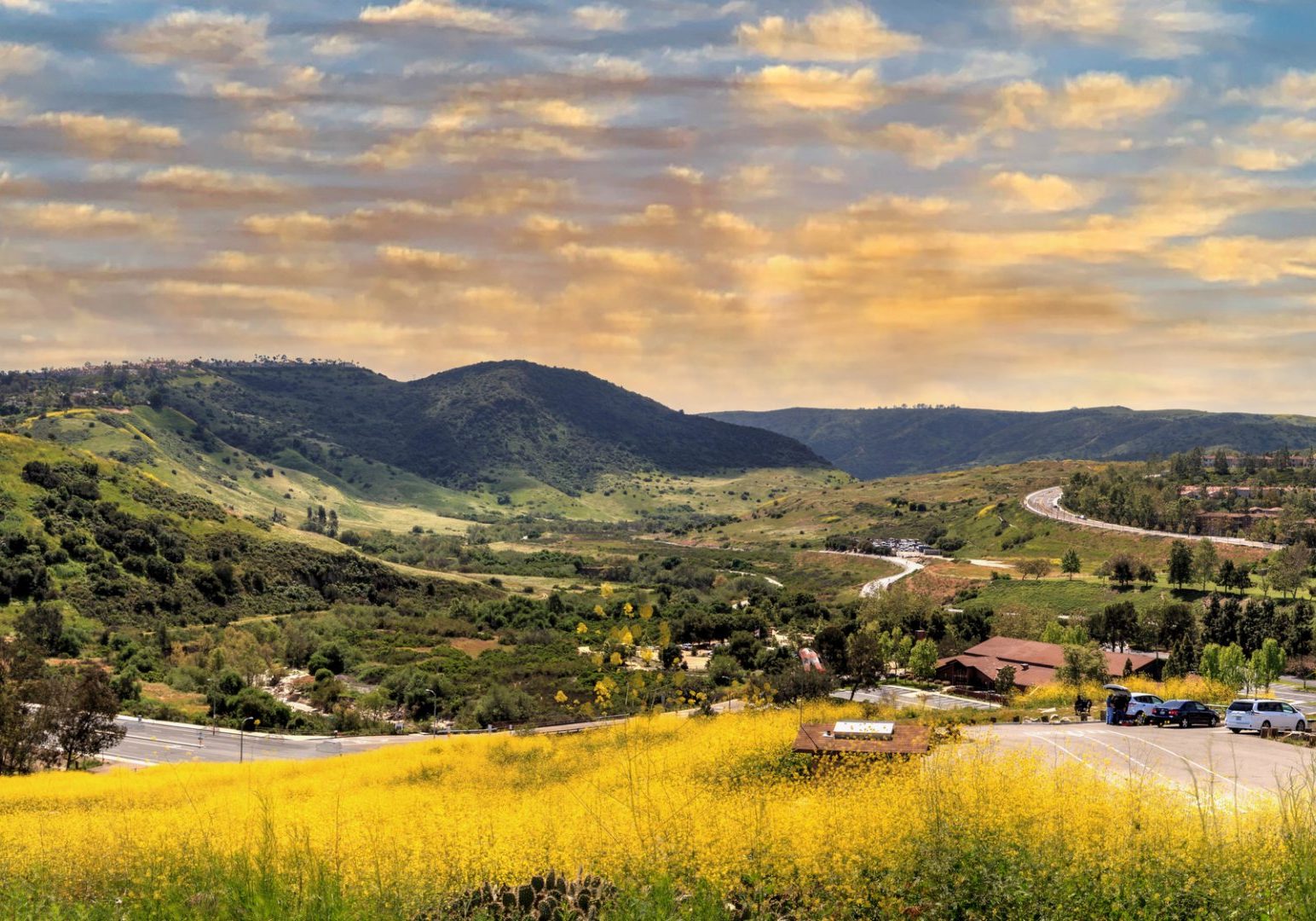 Sunset over Aliso Viejo Wilderness Park view with yellow wild flowers and green rolling hills from the top hill in Aliso Viejo, California, United States