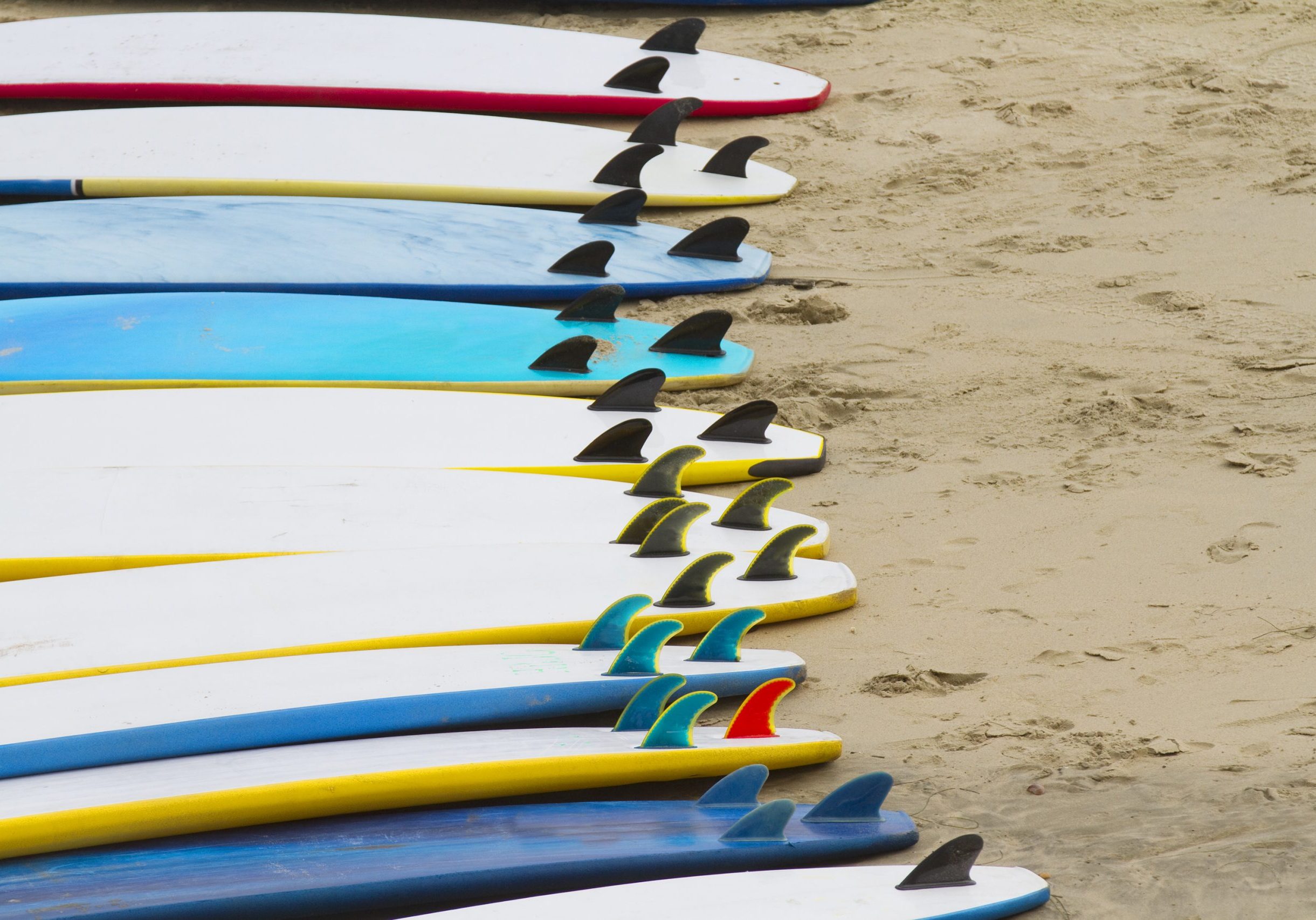 A row of foam surfboards ready to go.